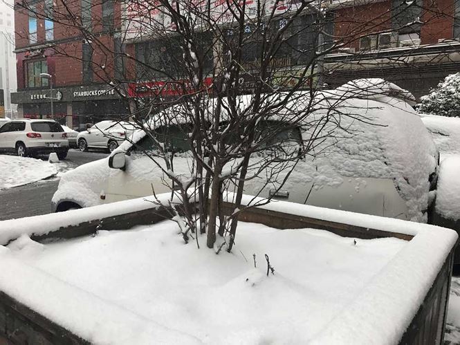 Mưa tuyết trắng xoá nơi U23 Việt Nam đá chung kết